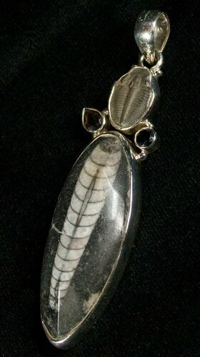 Fossil Orthoceras & Trilobite Pendant - Sterling Silver #5575